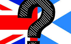 The Jungle Referendum