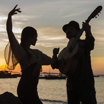 Flamenco Fusion